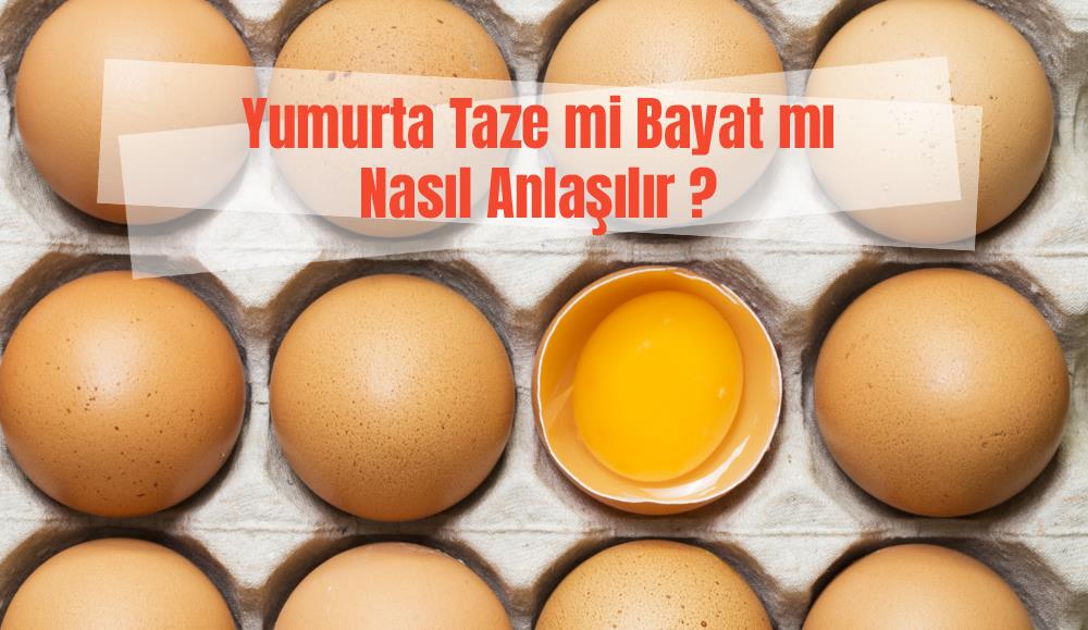 Yumurta Taze mi Bayat mı Nasıl Anlaşılır?