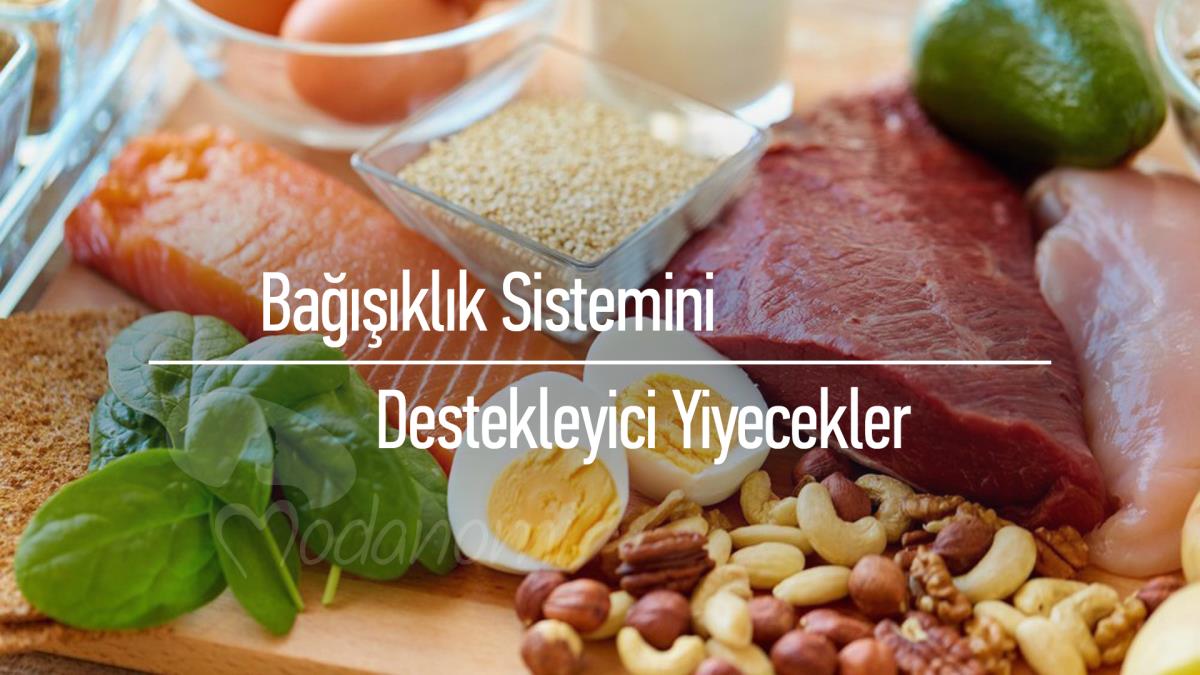 Bağışıklık Sistemini Destekleyici Yiyecekler