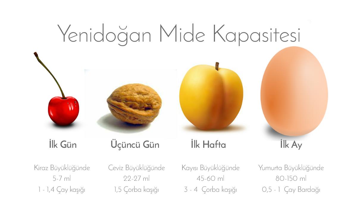 Kolostrum (İlk Süt) Ne Kadar Sürer? 