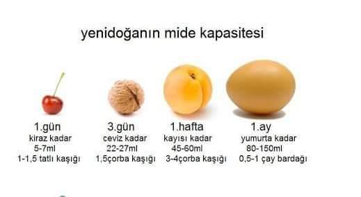 Yetersiz Süt Üretimi